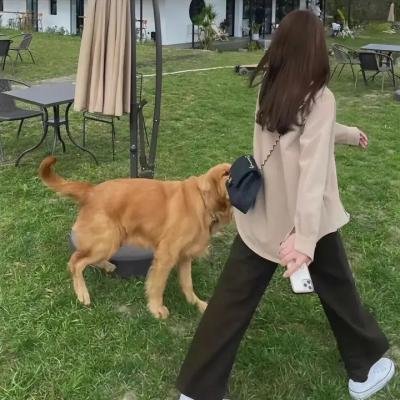 夏洛克与女儿